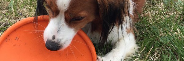 AEriks1 Profile Banner