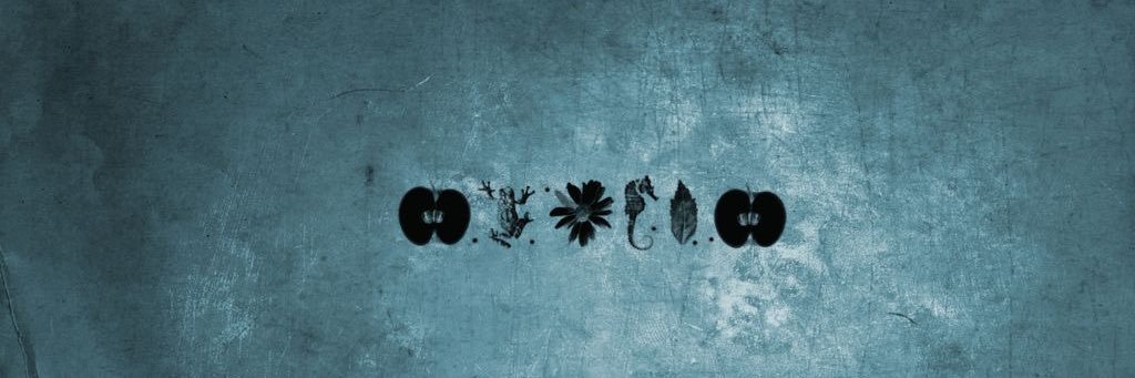 iputgul's profile banner image