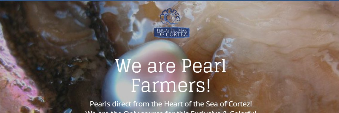 CortezPearls's profile banner image