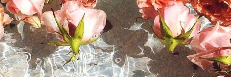 xASIAHx's profile banner image