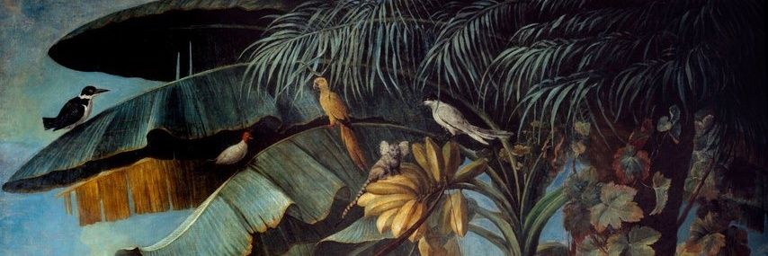 Caipora1500's profile banner image