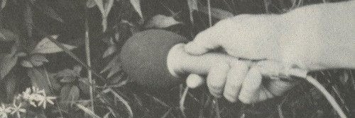 eiheitor's profile banner image