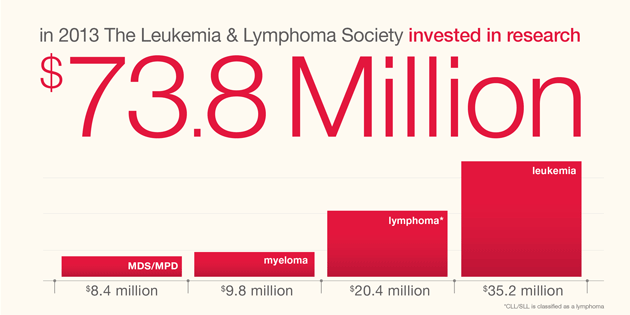 LLS Delaware Chapter banner