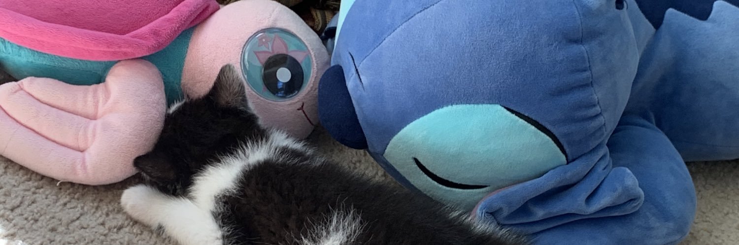 DaveTheSTurtle's profile banner image