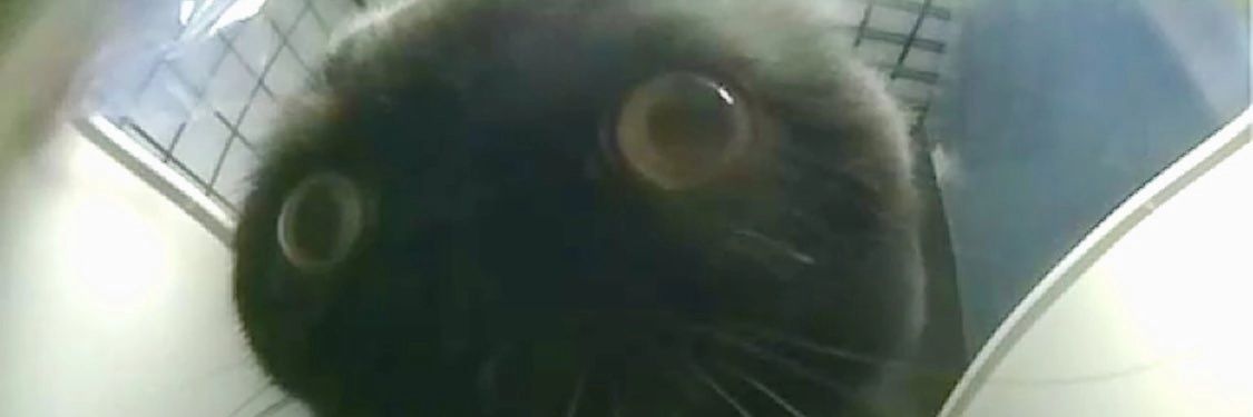 daydiheyhey's profile banner image