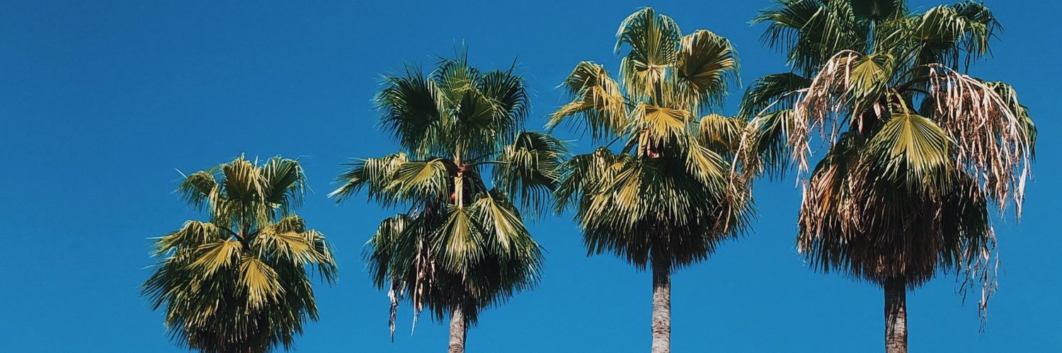 soficomand's profile banner image