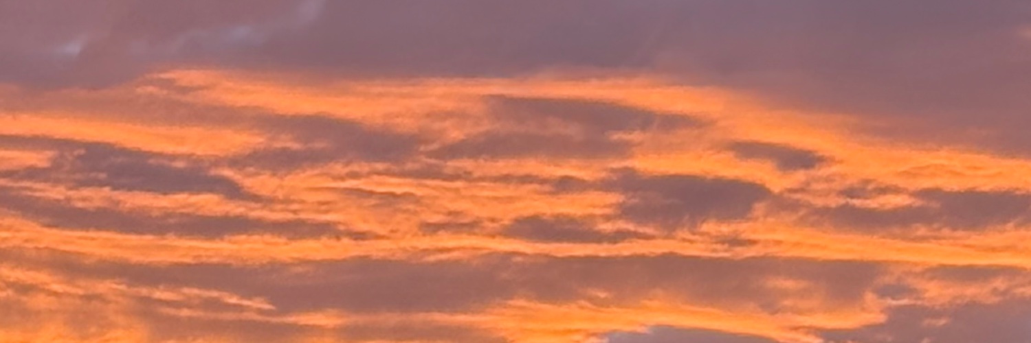 trevychase_'s profile banner image