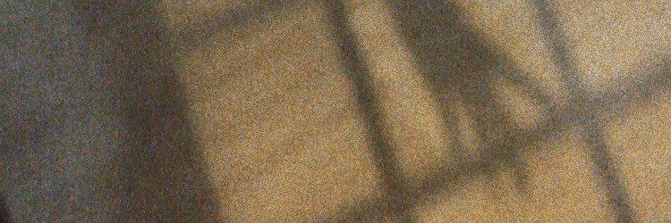 thistlemorse's profile banner image