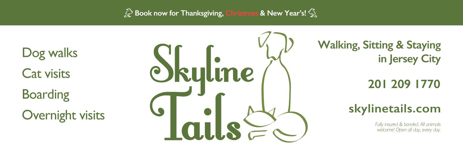 SkylineTails's profile banner image