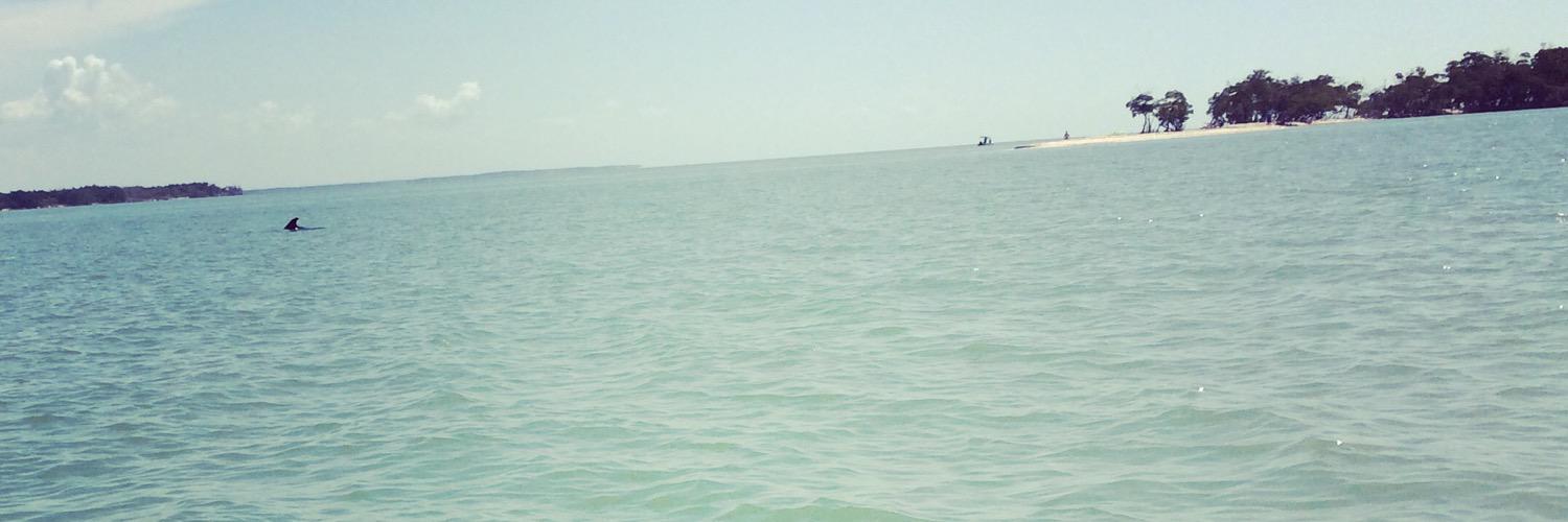 Hudyntheblwfish's profile banner image