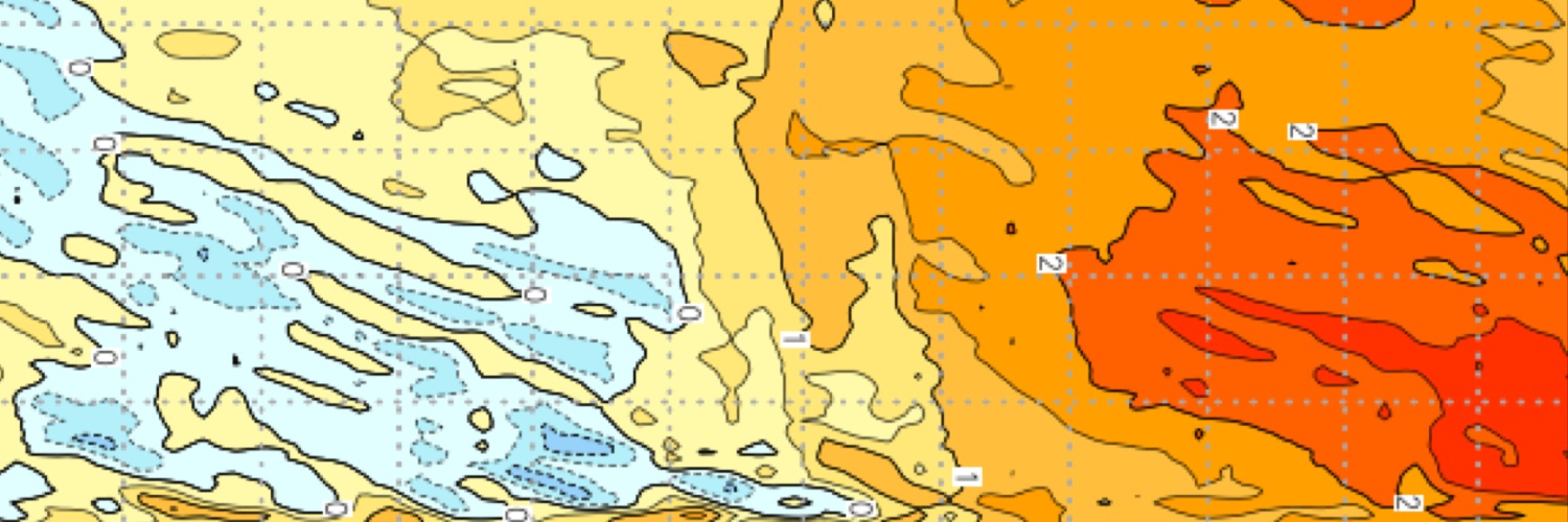 Cait Martinez banner