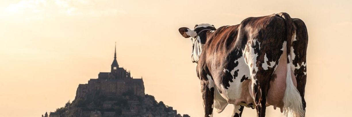 BilliusTheRed's profile banner image