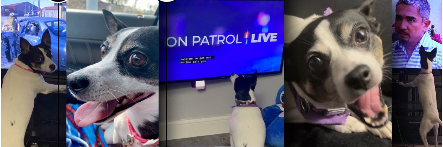 Max and Ruby (And Charlie) banner