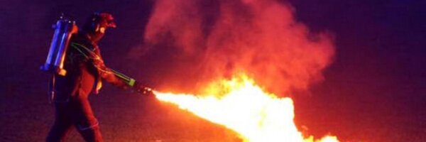 PGollyBennett Profile Banner