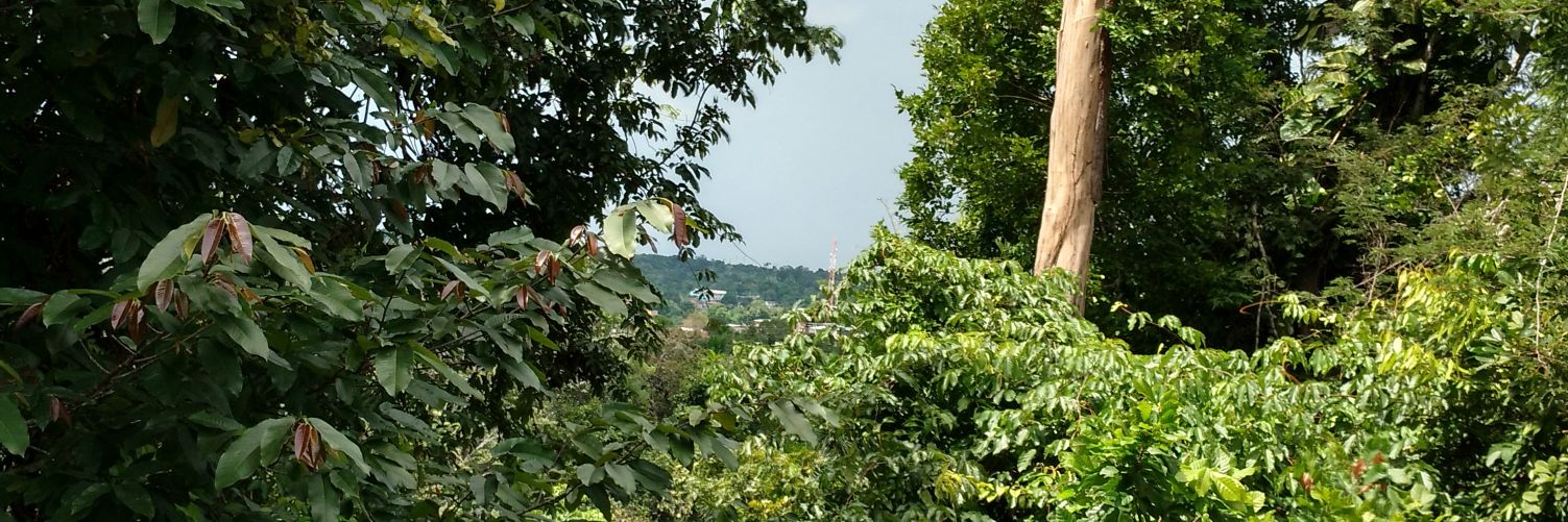 AffonsoCellso's profile banner image