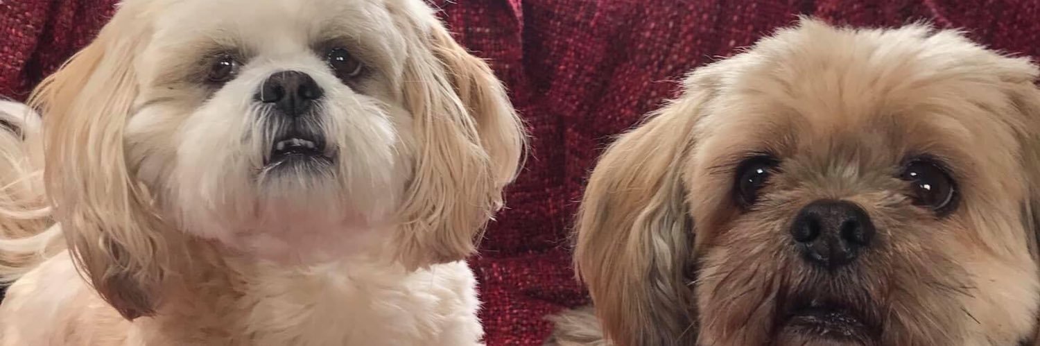 sashpie69's profile banner image