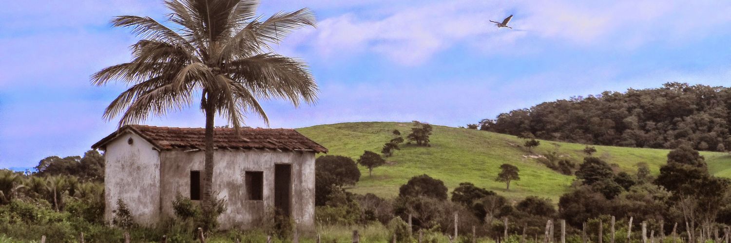 drigolucio's profile banner image