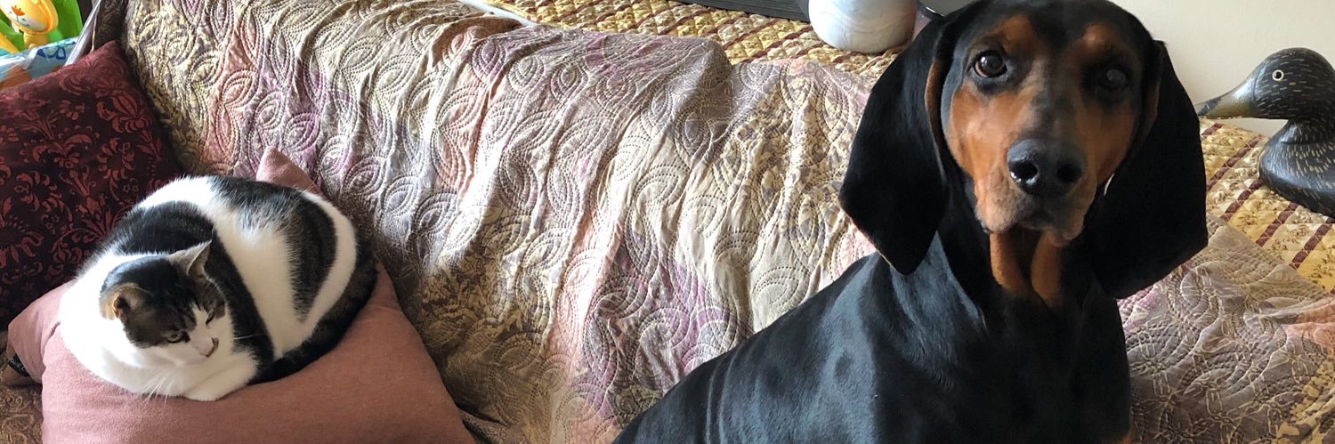 chriskarin21's profile banner image