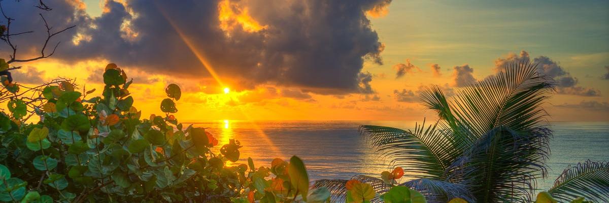 NathanHoutsma's profile banner image