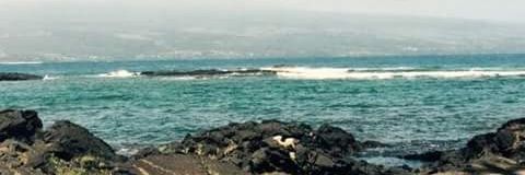joaode_pesso's profile banner image