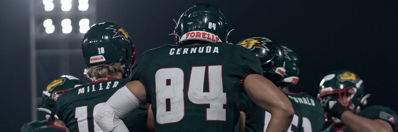 Raul Cernuda banner