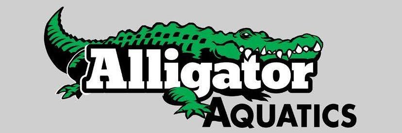 AlligatorSwim's profile banner image