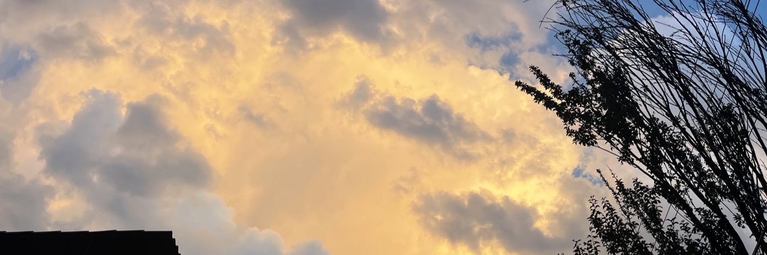 SoloMarianaa's profile banner image