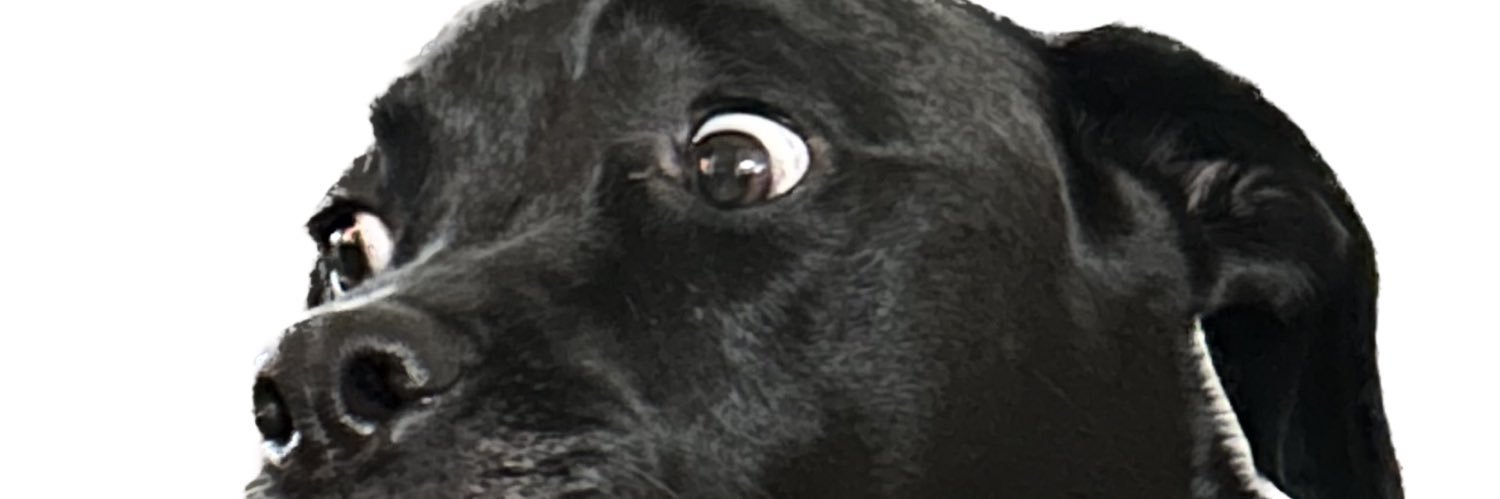 yuppieteca's profile banner image