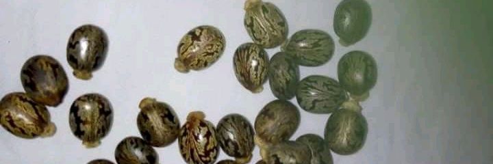 Ogundelett's profile banner image