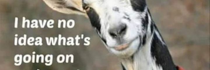 Cheese banner