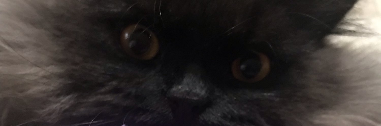 MINOESV's profile banner image