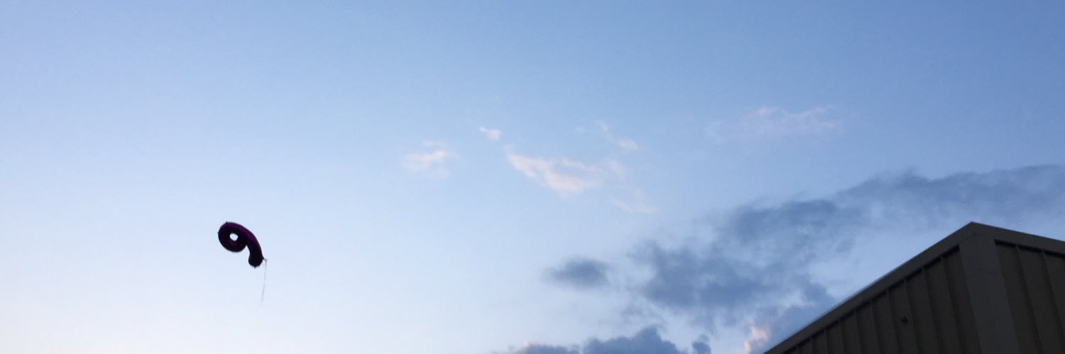 chr158ooth's profile banner image