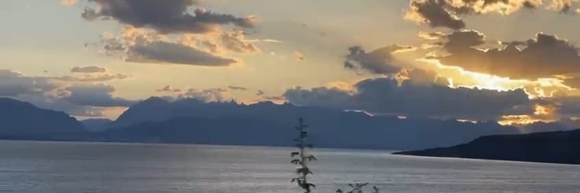 María Soledad Acuña banner