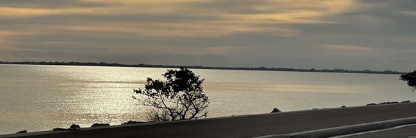 demarest_tom Profile Banner