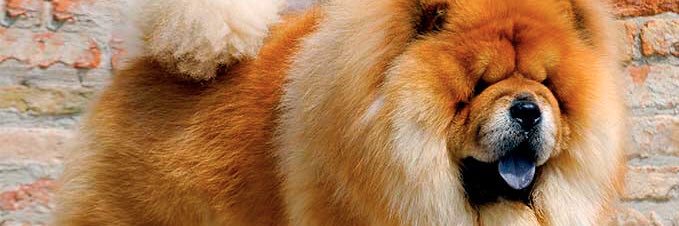 BaloFunds's profile banner image