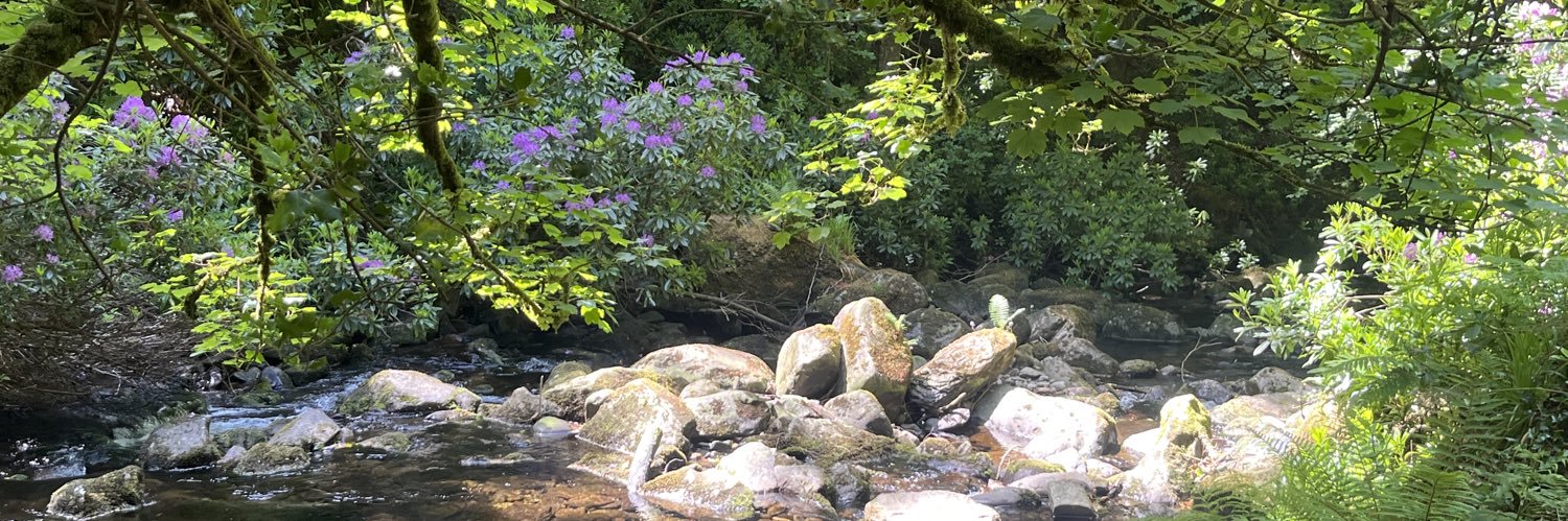 indidunlo's profile banner image