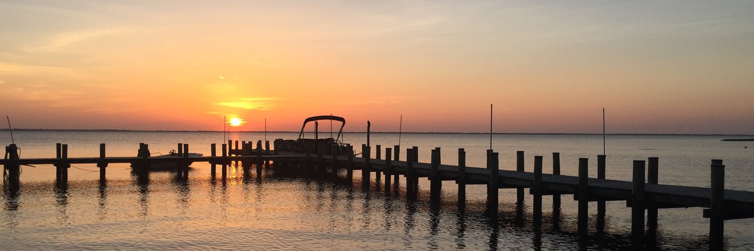 msvanho's profile banner image