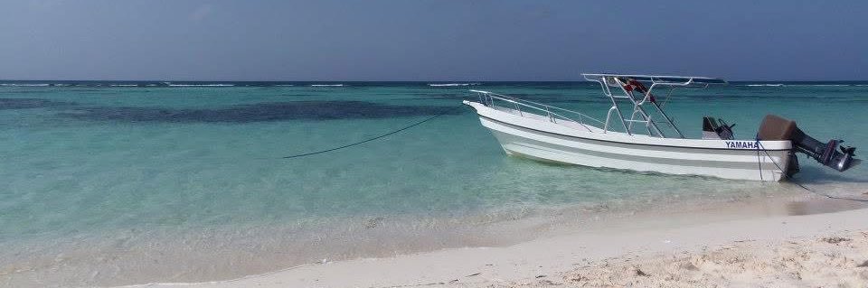 joelhenrsant's profile banner image
