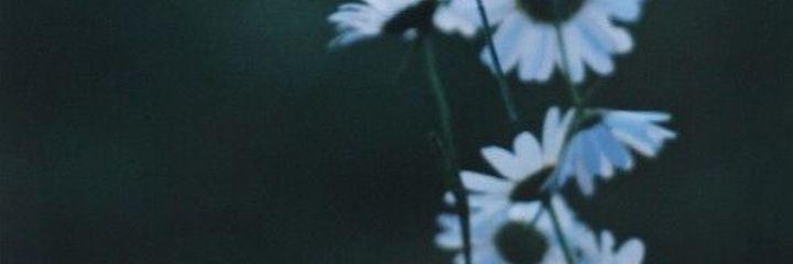 aarontpagdr's profile banner image
