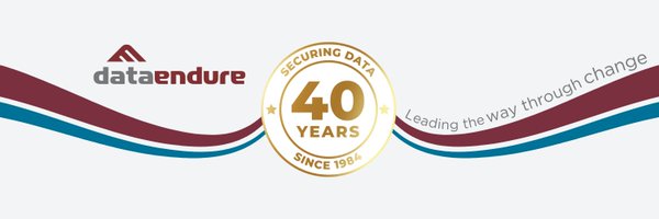 DataEndure Profile Banner