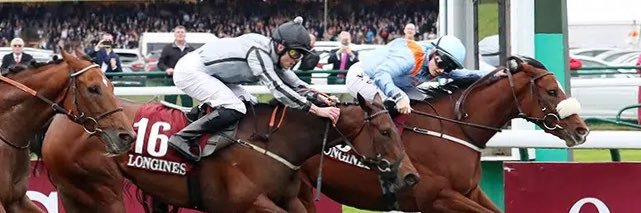 David Hindmarsh banner