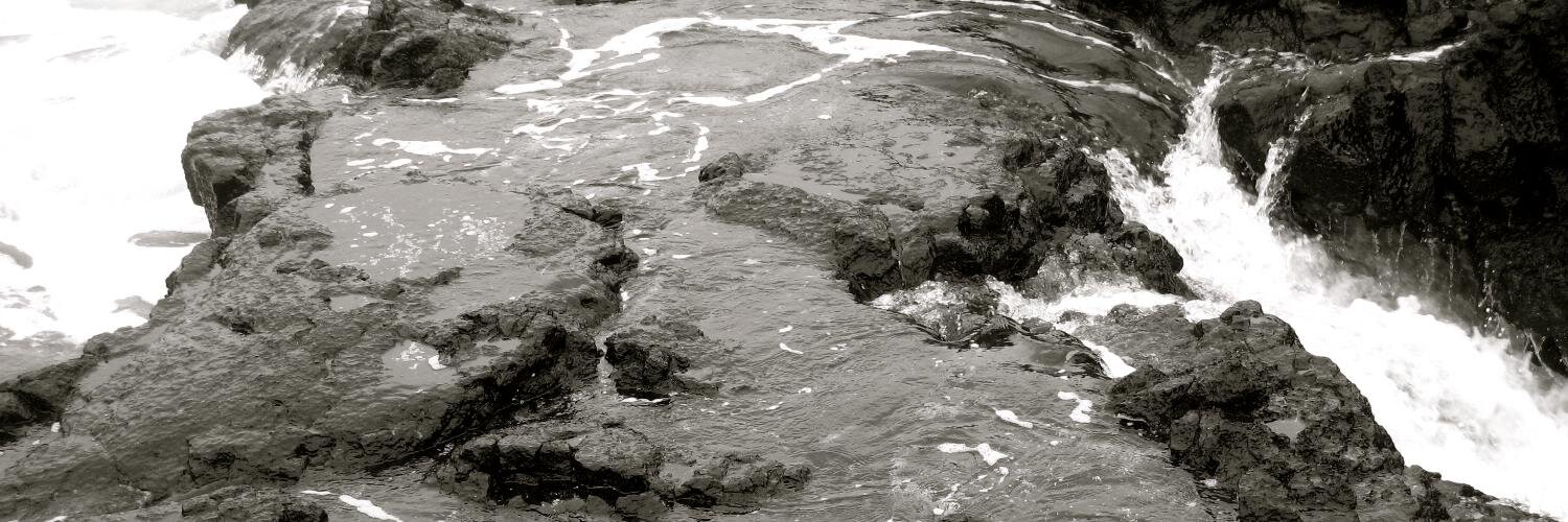 Mackey Craven banner