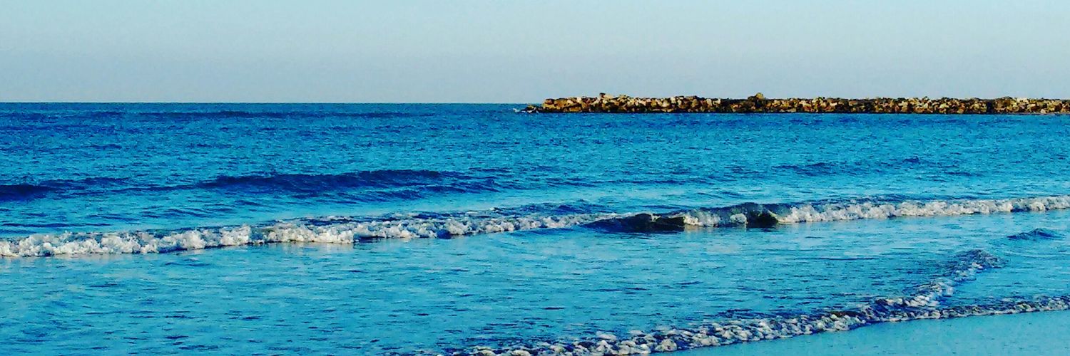 RobertCarelli's profile banner image