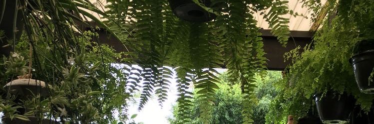 jarminake's profile banner image