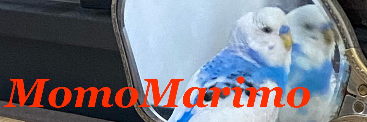 MomoMarimo0831's profile banner image