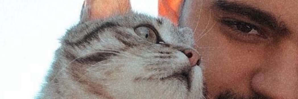 the02al's profile banner image