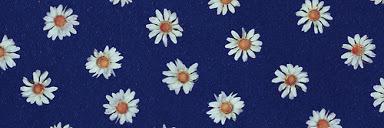 SamVotes4Becky's profile banner image