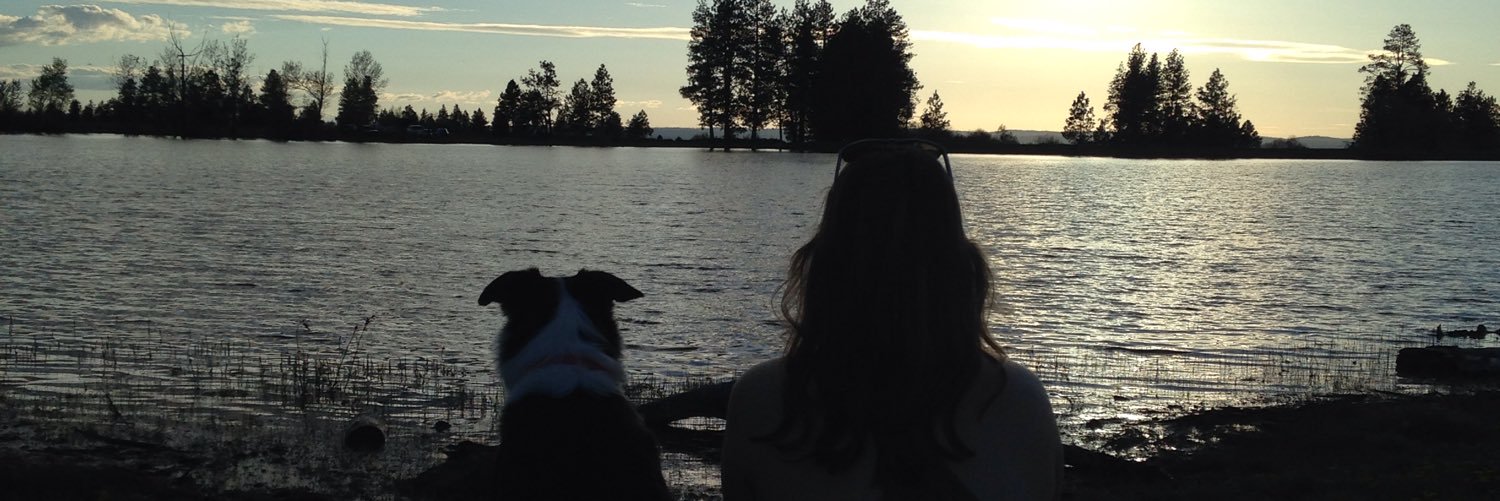 AddySipp's profile banner image