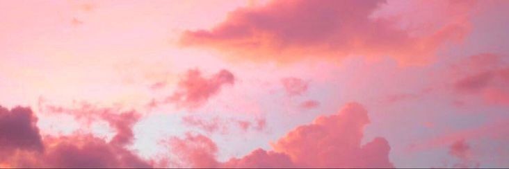 chollitz's profile banner image