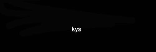 lovelynasf's profile banner image
